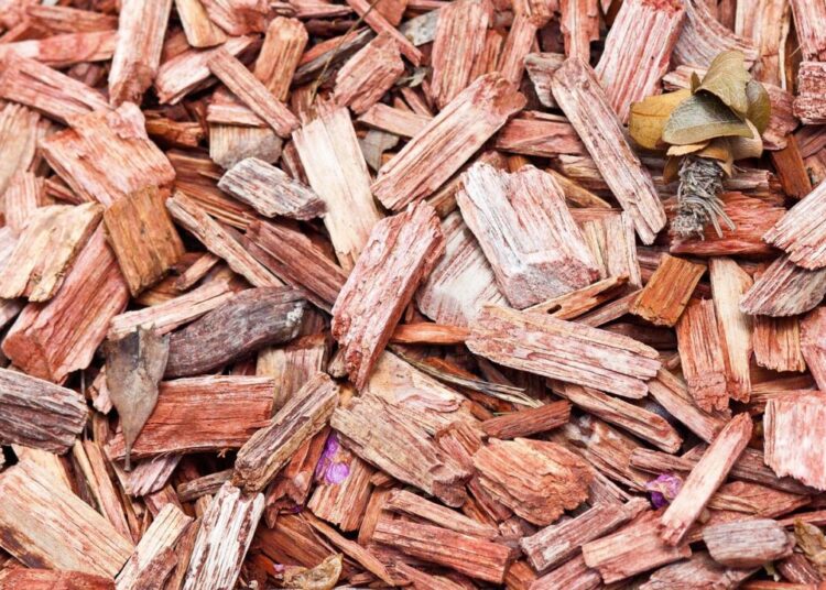 modestpudding mulch 2263430 1280