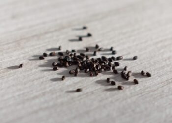 naive eye seeds 4114757 1280