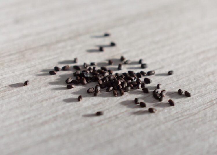 naive eye seeds 4114757 1280