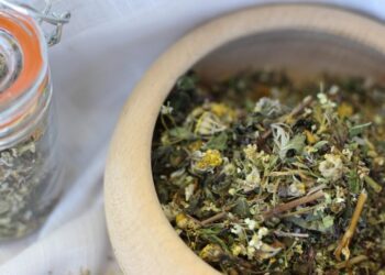 vilinapetrova grass 3267376 1280