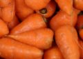 webdesignnewcastle carrot 3590370 1280