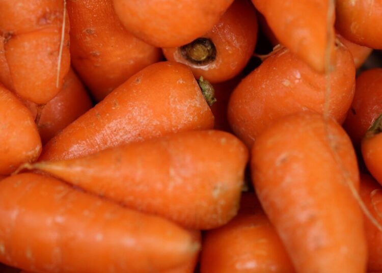 webdesignnewcastle carrot 3590370 1280