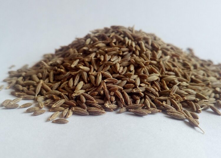amatussamitahera cumin 5377176 1280