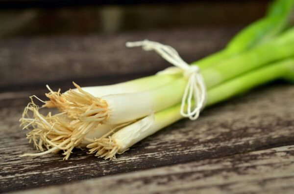secka congerdesign spring onions 845032 1920