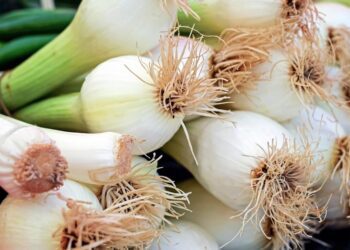couleur onion 1415814 1280