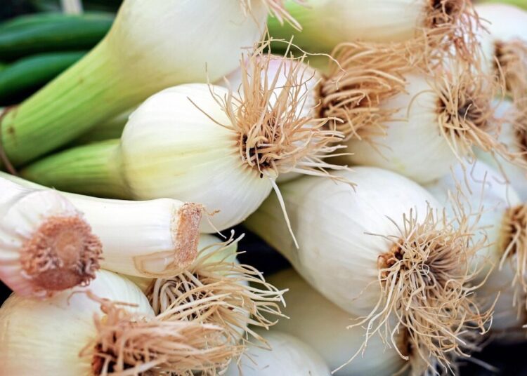 couleur onion 1415814 1280