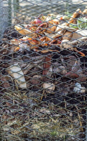 finjam compost 5992409 1280