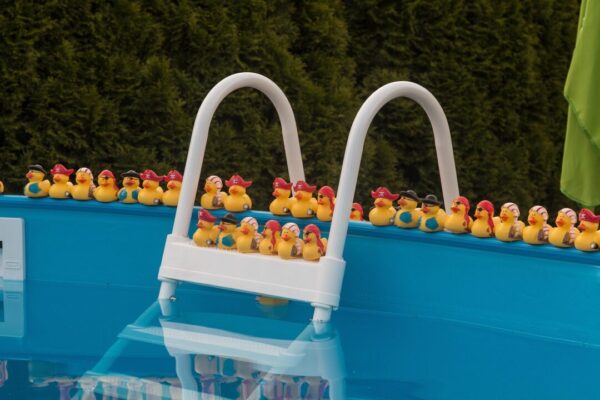 hrohmann pool 831996 1280