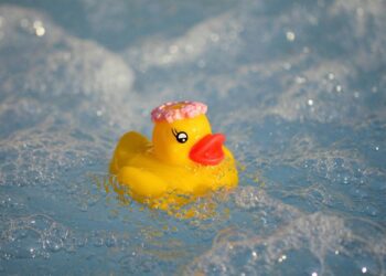 neelam279 rubber duck 7296928 1280