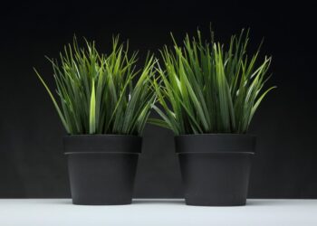 svetlana reis artificial grass 4056458 1280