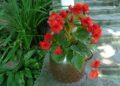 zbuhdalu nature 53442 1280