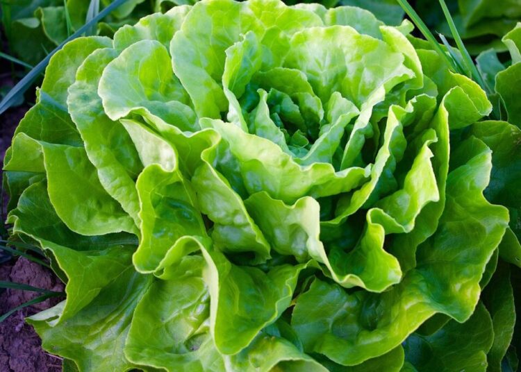 422737 nature 940032 1280