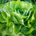 422737 nature 940032 1280