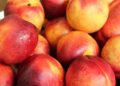 alicja nectarines 4534241 1280