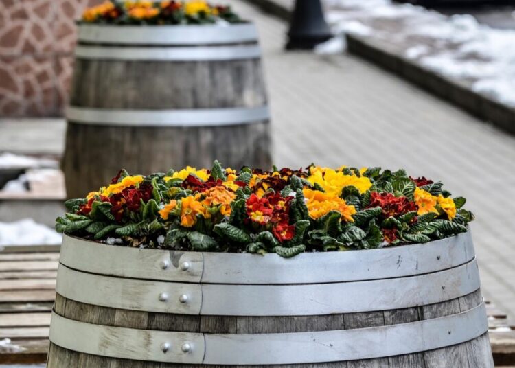aszak barrel of flowers 7116316 1280