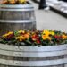 aszak barrel of flowers 7116316 1280
