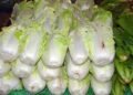 dezalb vegetables 2816741 1280