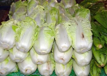 dezalb vegetables 2816741 1280