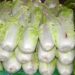 dezalb vegetables 2816741 1280