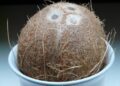 hans coconut 60390 1280