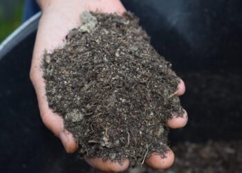 jennyjohansson mulch 4827133 1280