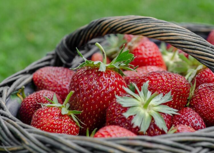 kathas fotos strawberries 7323941 1280