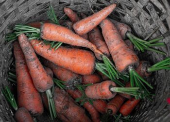 matorlino carrots 4765284 1280