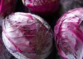 matthiasboeckel red cabbages 6804099 1280
