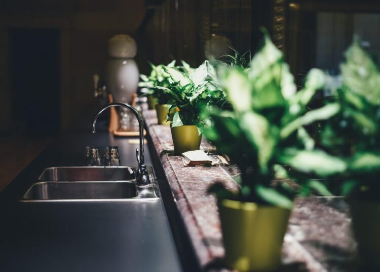 pexels kitchen 1867663 1280