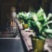 pexels kitchen 1867663 1280