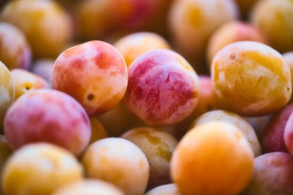silvyn mirabelle plum 7605256 1280