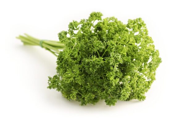 petrzel tegrafik parsley 1665402 1280