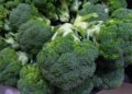 auntmasako broccoli 1630519 1280
