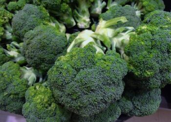 auntmasako broccoli 1630519 1280