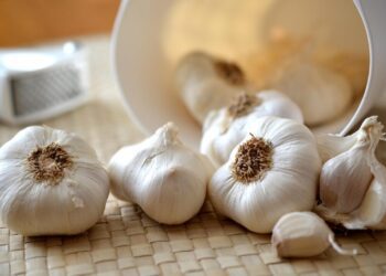 congerdesign garlic 545223 1280