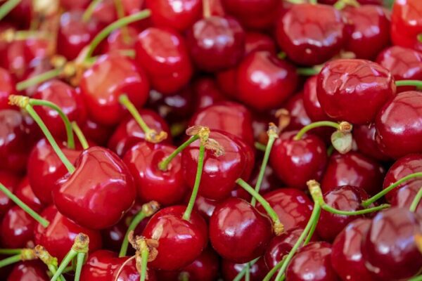 couleur cherries 3433775 1280 couleur cherries 3433775 1280