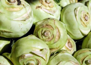 couleur kohlrabi 2266665 1280