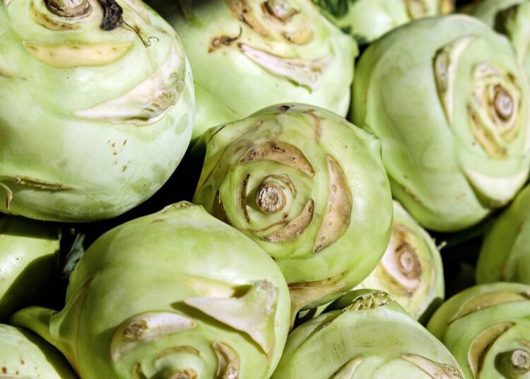 couleur kohlrabi 2266665 1280