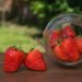 e klasse2010 strawberry 1959377 1280