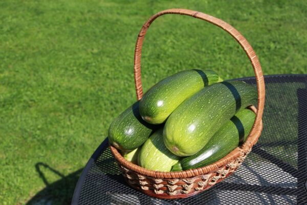 evgeniia art vegetable 6590820 1280