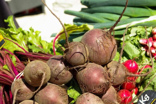 repa jackmac34 beets 780524 1280