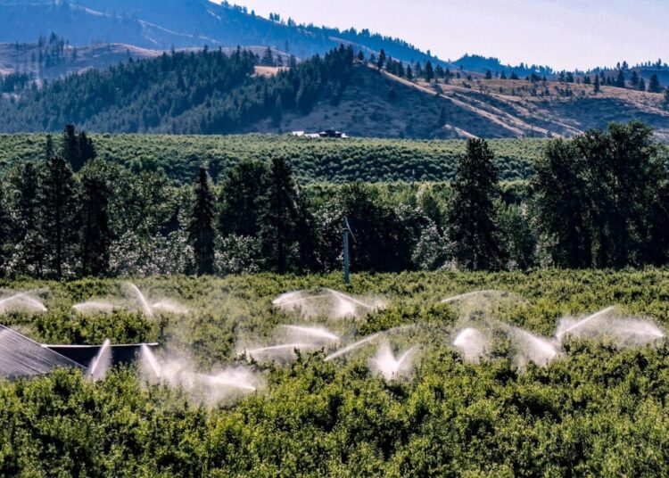 jimdrinkwine orchards 7344885 1280