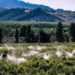 jimdrinkwine orchards 7344885 1280