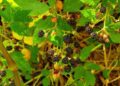 krystianwin nature 3242390 1280