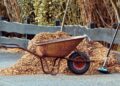 manfredrichter gardening 3997259 1280