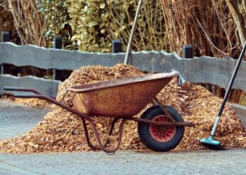 manfredrichter gardening 3997259 1280