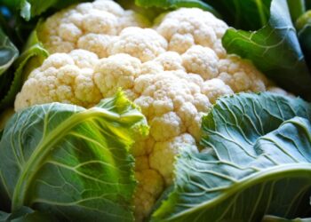 matthiasboeckel cauliflower 5538616 1280