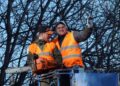 newforester saw cut 87093 1280