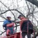 newforester saw cut 87192 1280