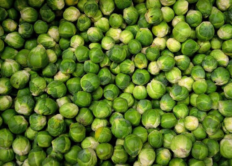 publicdomainpictures brussels sprouts 22009 1280